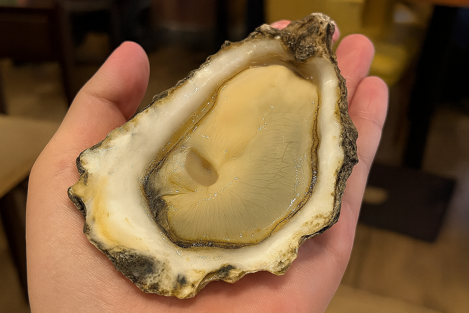 A product photo used as a reference asset